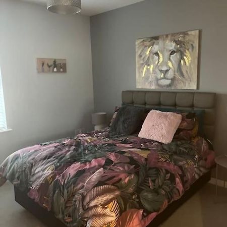 Corran Mews Apartment Larne Bagian luar foto