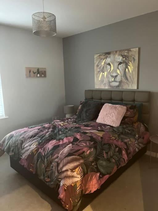Corran Mews Apartment Larne Bagian luar foto