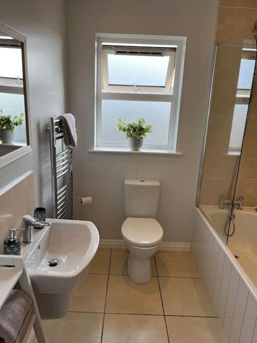 Corran Mews Apartment Larne Bagian luar foto